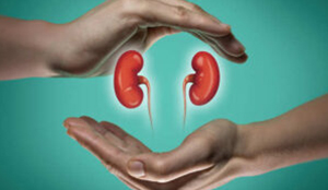 Best Pediatric Urologists in Chennai | Chennai Kidney Care